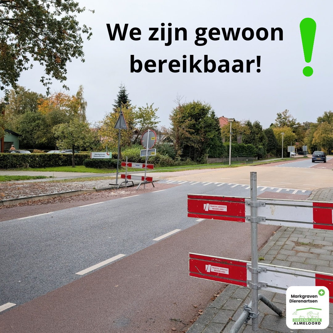 We zijn gewoon bereikbaar_20251017_131022_0000