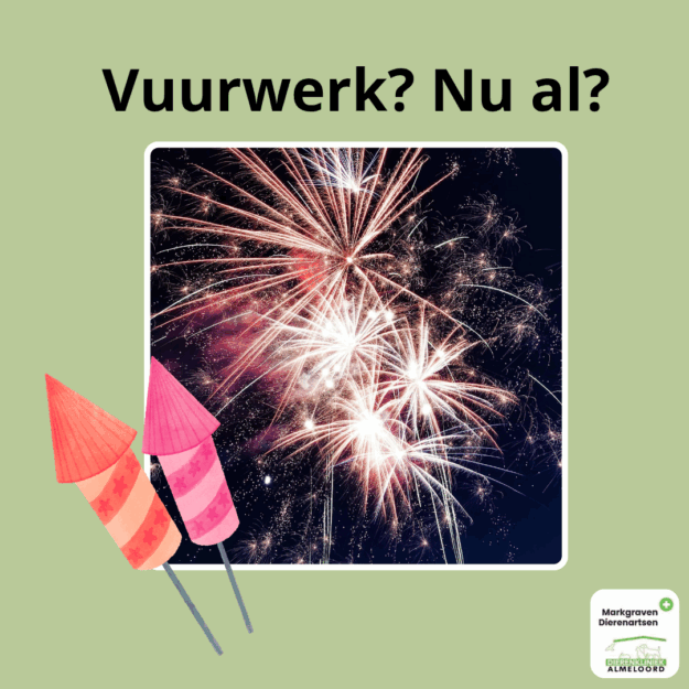 Raad het plaatje_20251117_111422_0000