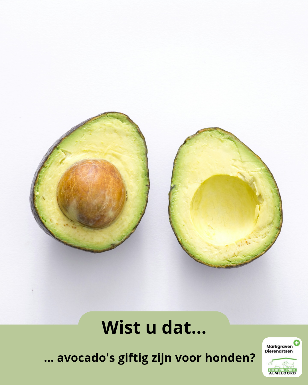 Wist u dat… avocado